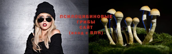 мет Армянск