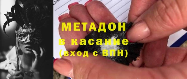 шишки Аркадак