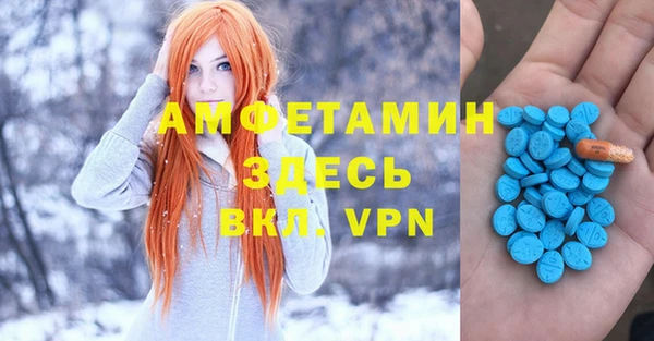 шишки Аркадак