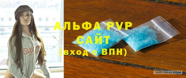 шишки Аркадак