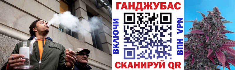 Канабис сатива  цены   mega ONION  Аша 